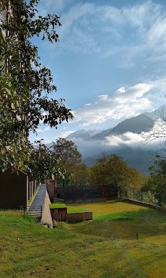 The Chinar Resort And Spa - photo 6 - Hotels and Houseboats in Pahalgam