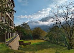 The Chinar Resort And Spa - photo 9 - Hotels and Houseboats in Pahalgam