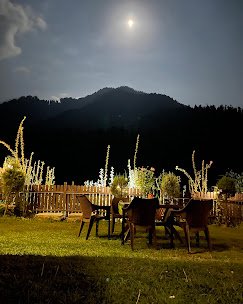 The Pahalgam Pines - photo 2 - Hotels and Houseboats in Pahalgam