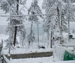 Pahalgam Heritage Resort - photo 3 - Hotels and Houseboats in Pahalgam