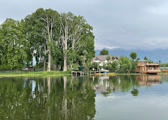 Photo 7 of New York Houseboats