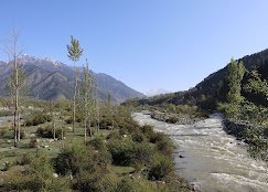 Joy Tour And Travels - photo 2 - Travel Agents and Tour Operators in Srinagar