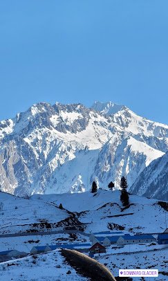 Joy Tour And Travels - photo 3 - Travel Agents and Tour Operators in Srinagar