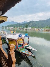 𝗦𝗵𝗶𝗻𝗶𝗻𝗴 𝗦𝘁𝗮𝗿 𝗛𝗼𝗹𝗶𝗱𝗮𝘆𝘀 - photo 4 - Travel Agents and Tour Operators in Srinagar