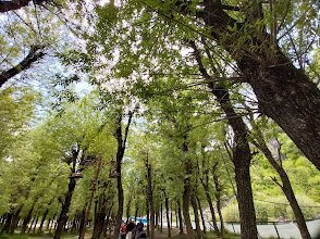 Srinagar Destination Tour And Travels - photo 3 - Travel Agents and Tour Operators in Srinagar