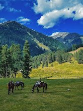 Srinagar Tourism - photo 2 - Travel Agents and Tour Operators in Srinagar