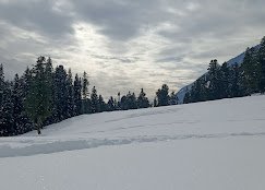 Dream Valley Travels - photo 4 - Travel Agents and Tour Operators in Srinagar