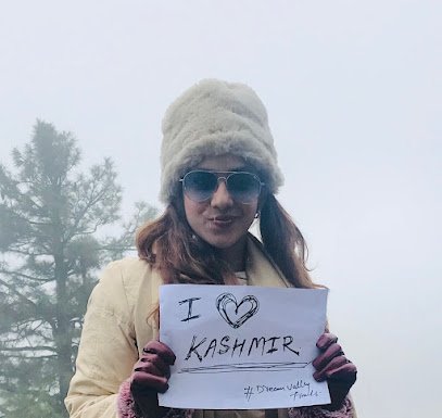 Dream Valley Travels - photo 5 - Travel Agents and Tour Operators in Srinagar