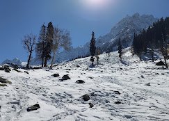 Zabarwan Travels - photo 4 - Travel Agents and Tour Operators in Srinagar