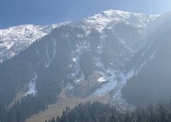 Zabarwan Travels - photo 7 - Travel Agents and Tour Operators in Srinagar