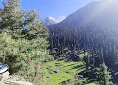 Raaj N Raaj Tour & Travel - photo 4 - Travel Agents and Tour Operators in Srinagar