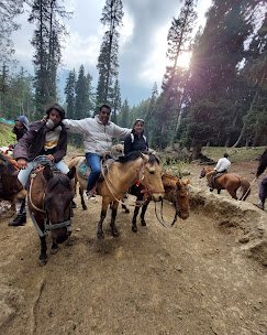 Raaj N Raaj Tour & Travel - photo 5 - Travel Agents and Tour Operators in Srinagar