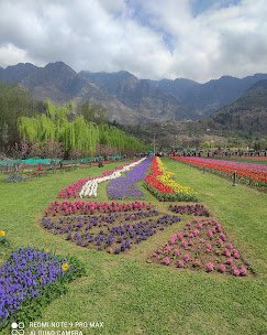 Grue Kashmir Tour And Travels - photo 3 - Travel Agents and Tour Operators in Srinagar