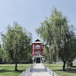 S P College - photo 2 - Colleges and Training Institutes in Srinagar