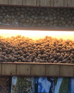 Pampori Dry Fruits - photo 4 - Dry Fruits and Saffron Stores in Srinagar