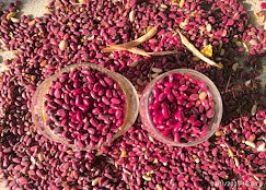 ZF Kashmiri Dry Fruits - photo 2 - Dry Fruits and Saffron Stores in Srinagar