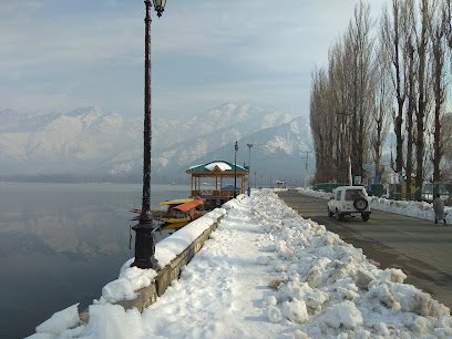 Srinagar Tourism Logo