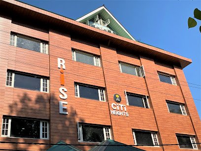 RISE Institute Logo